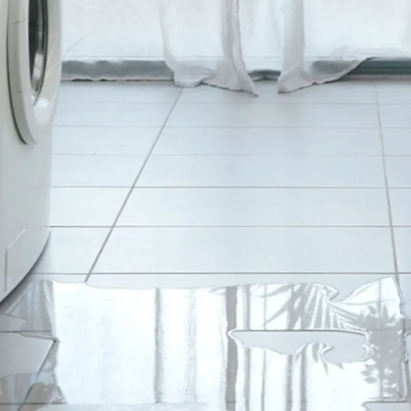Appliance Leak Cleanup in Copperopolis, CA